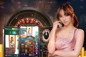 Công ty cung cấp thức ăn cho gà đá – Đặc điểm và lợi ích